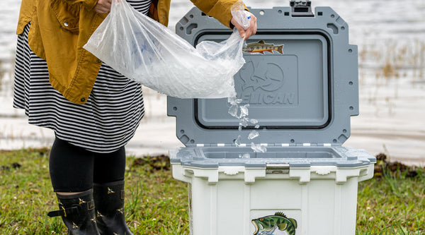 Prechilling hot sale a cooler