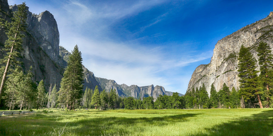 green meadow at Yosemite