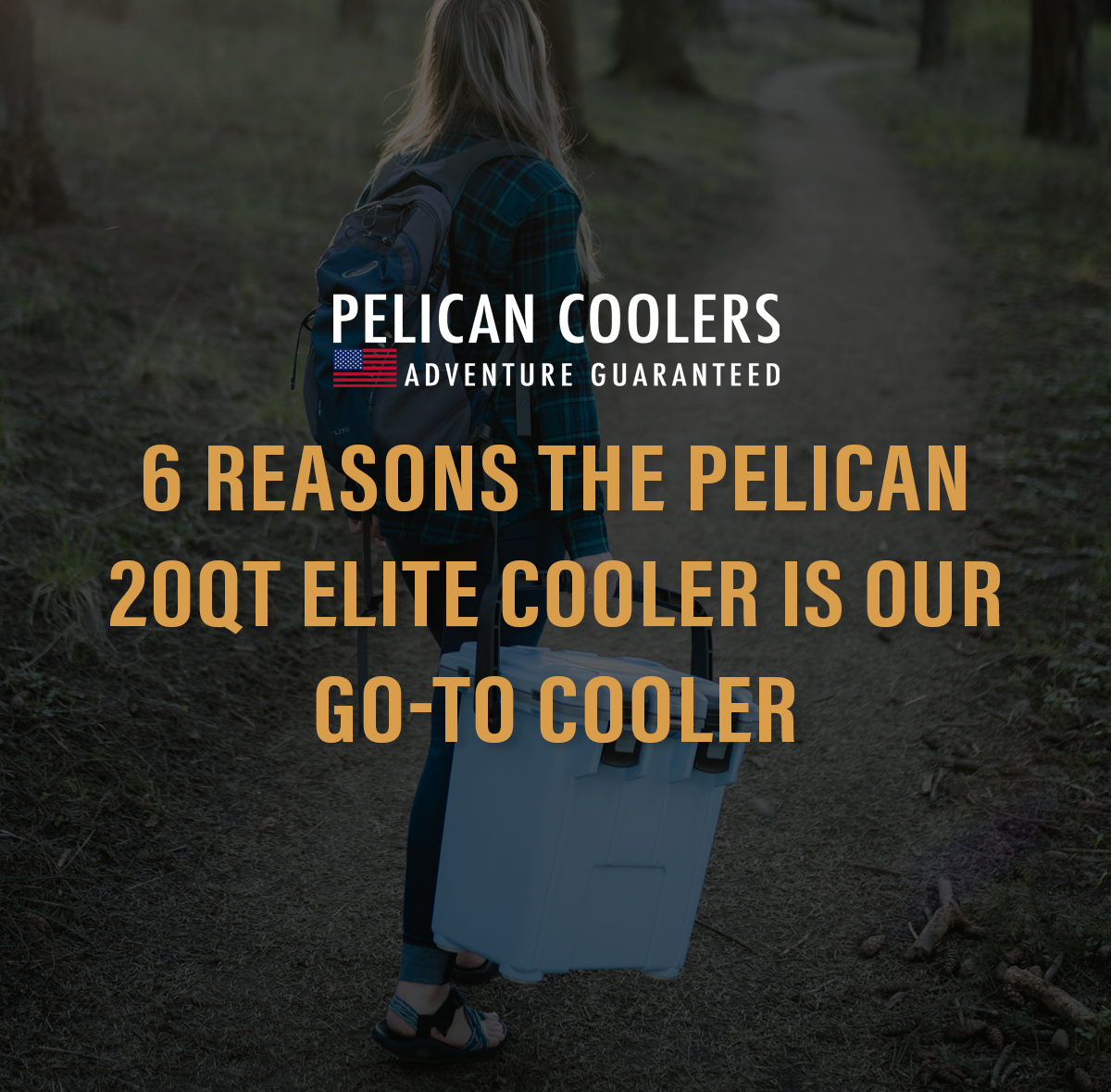 6 Reasons the 20QT is Our Go To Cooler