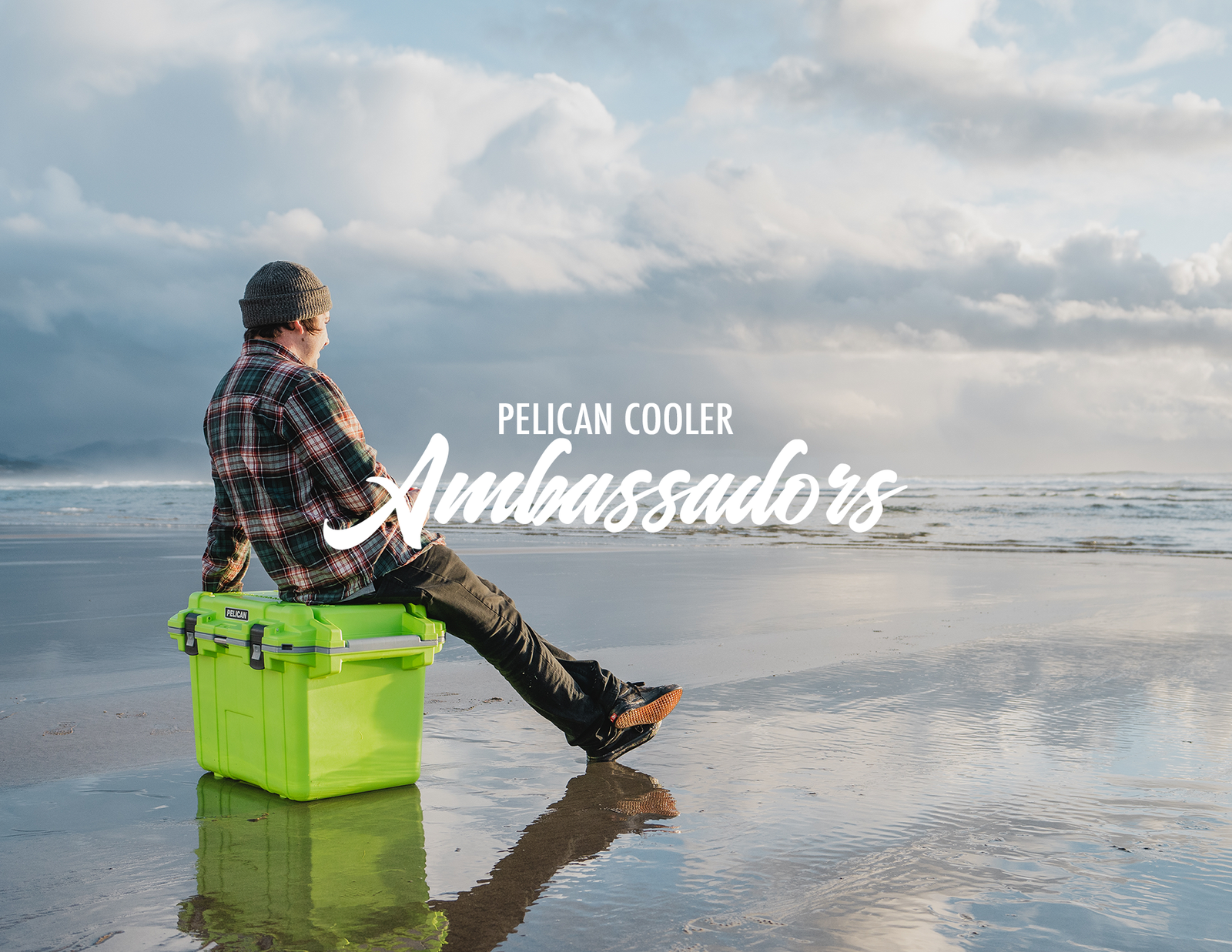 Meet the Ambassadors