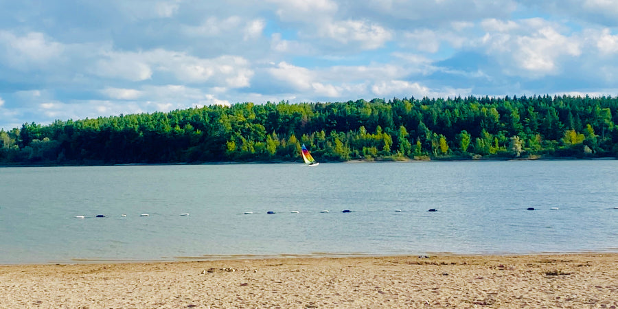 sailboat on water with view of trees and sand